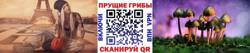 Галлюциногенные грибы мухоморы  Купить  Калуга 